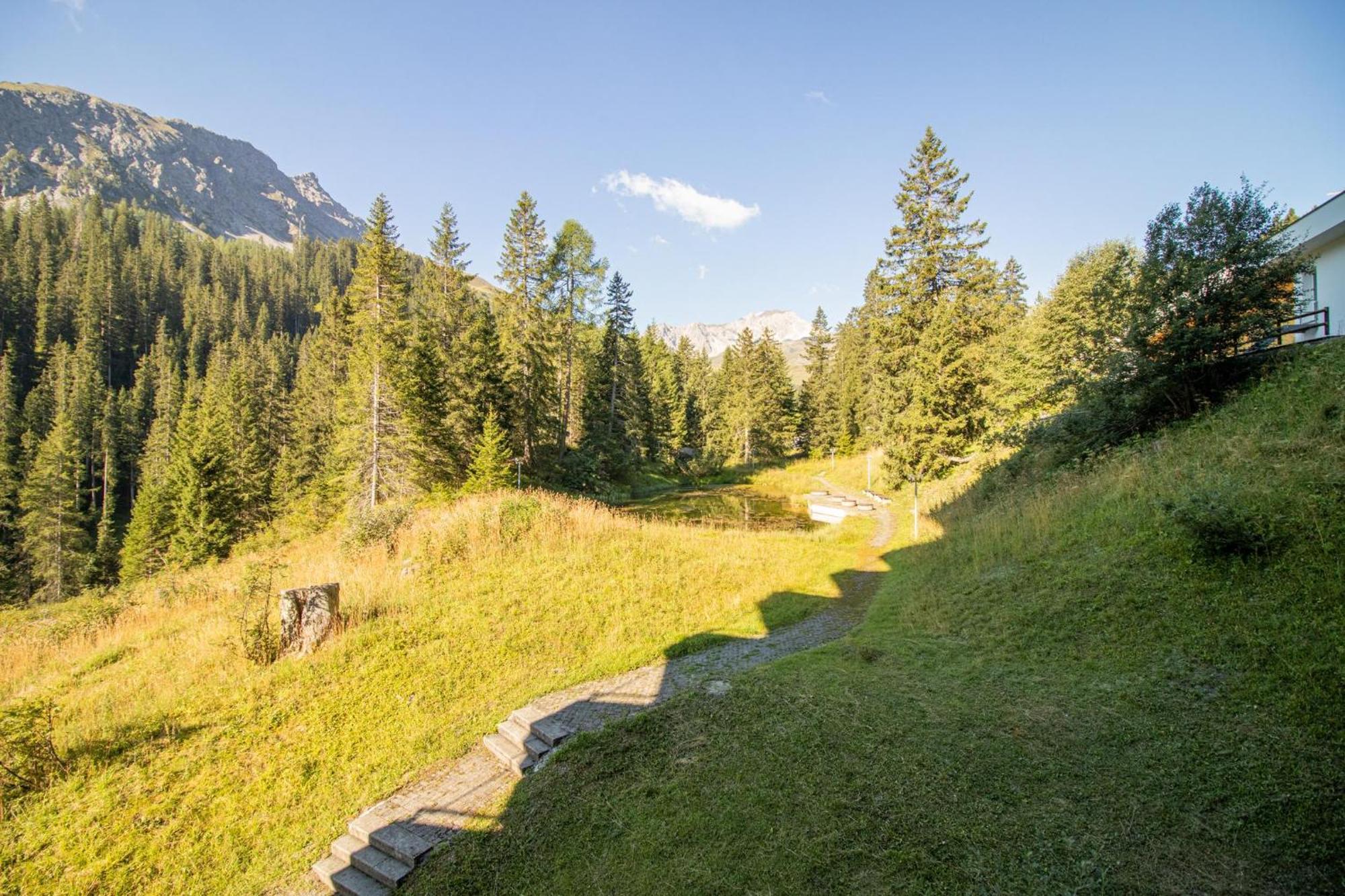 Rothornblick 6 Arosa